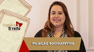 Explica Direito Filiação Socioafetiva  2019 [upl. by Maynard818]